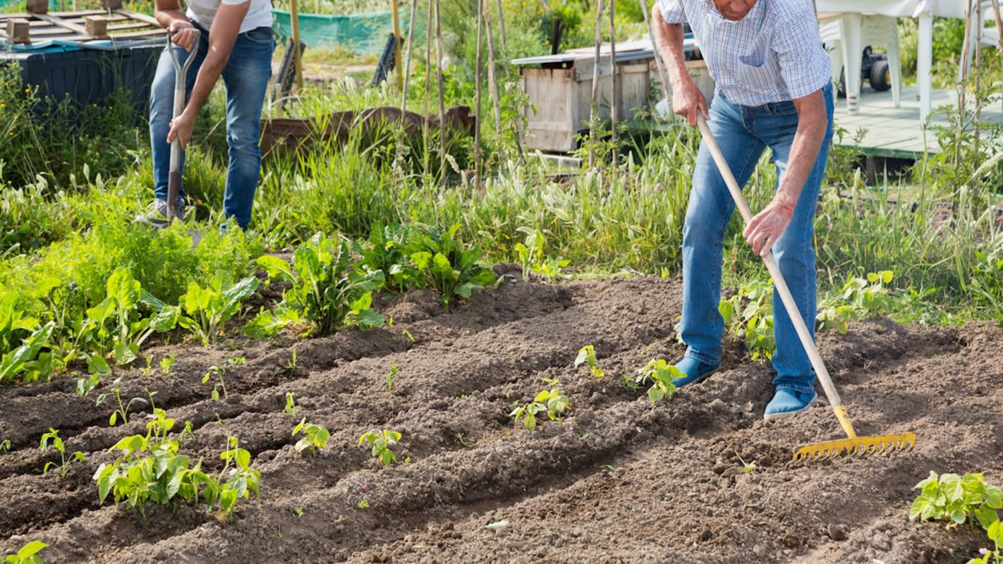 "Your only real hope is to cultivate a full garden."