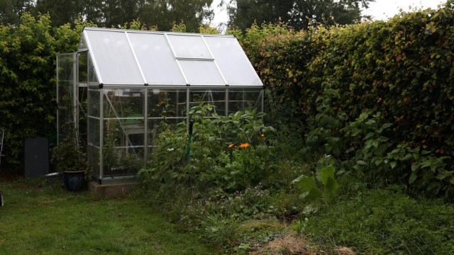 "I hope you have a stout fence or wall around your property to deter him."