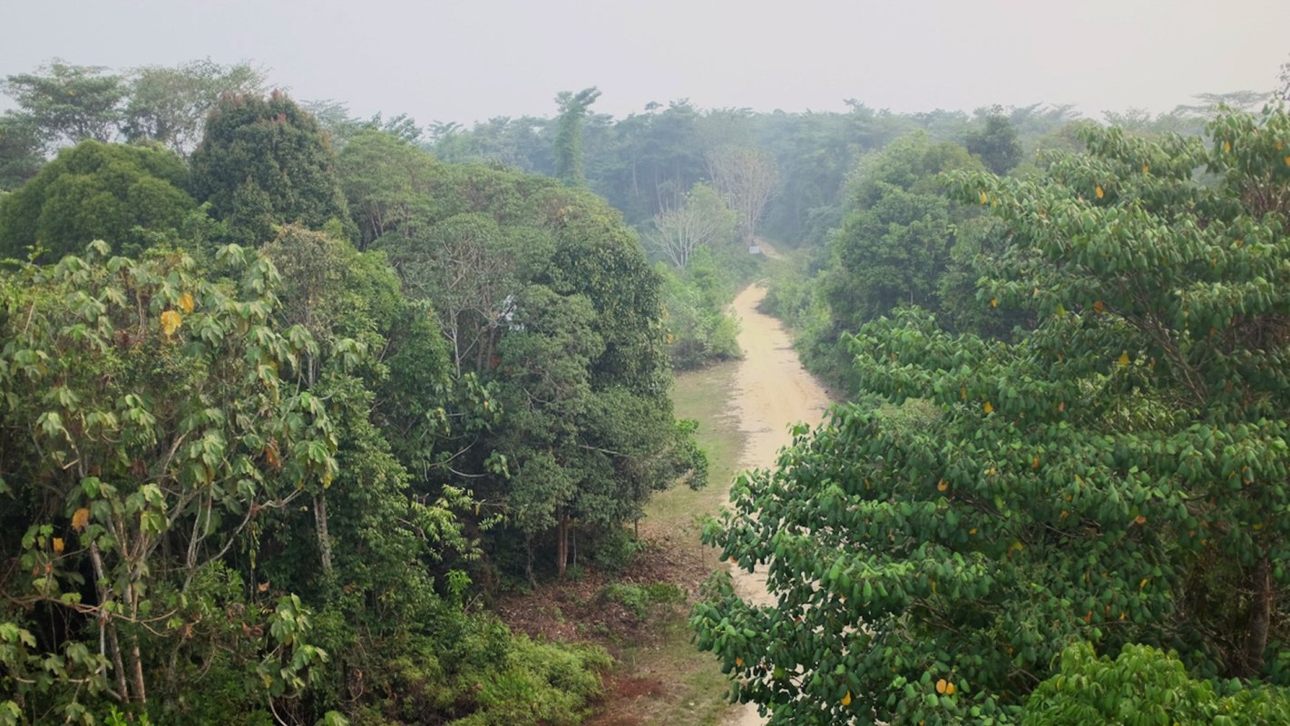 The park is home to nearly 3% of the world's mammals.