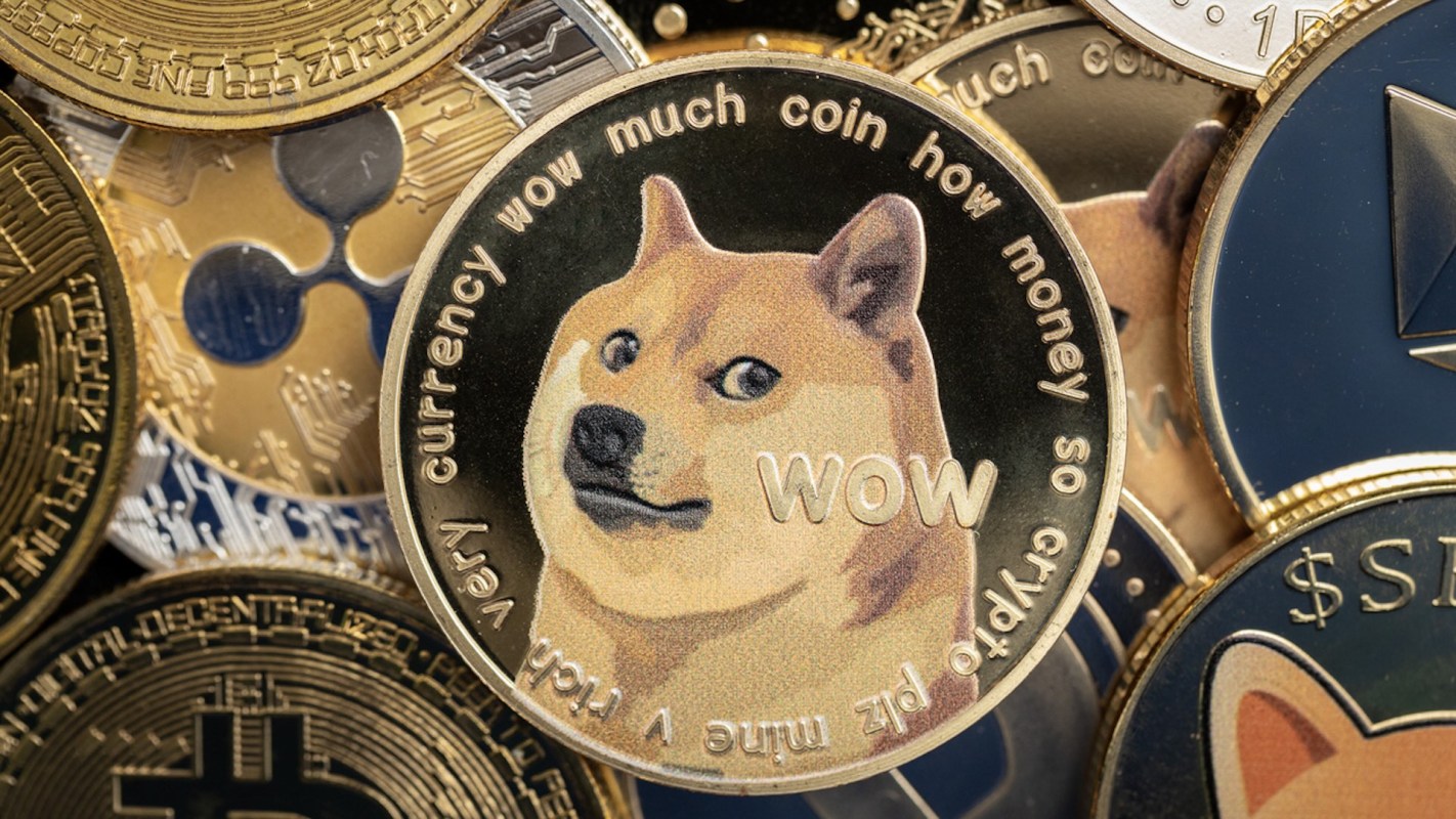 Its foray into crypto is part of its plan to capitalize on dogecoin's profitability.