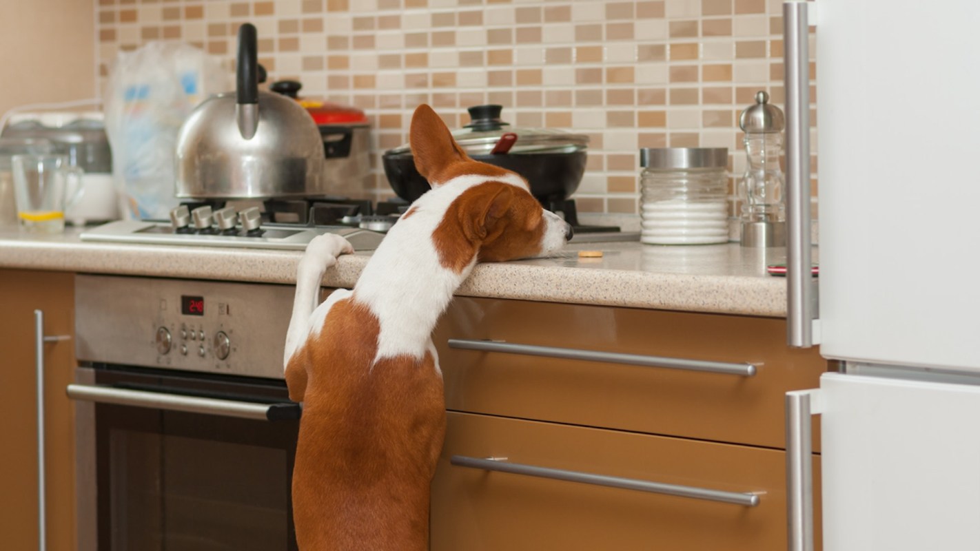 "My kitchen doesn't get ridiculously hot anymore."