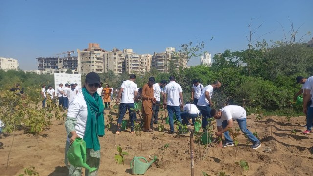 By cooling the air and providing shade, the Clifton Urban Forest is already helping the city adapt to rising temperatures.