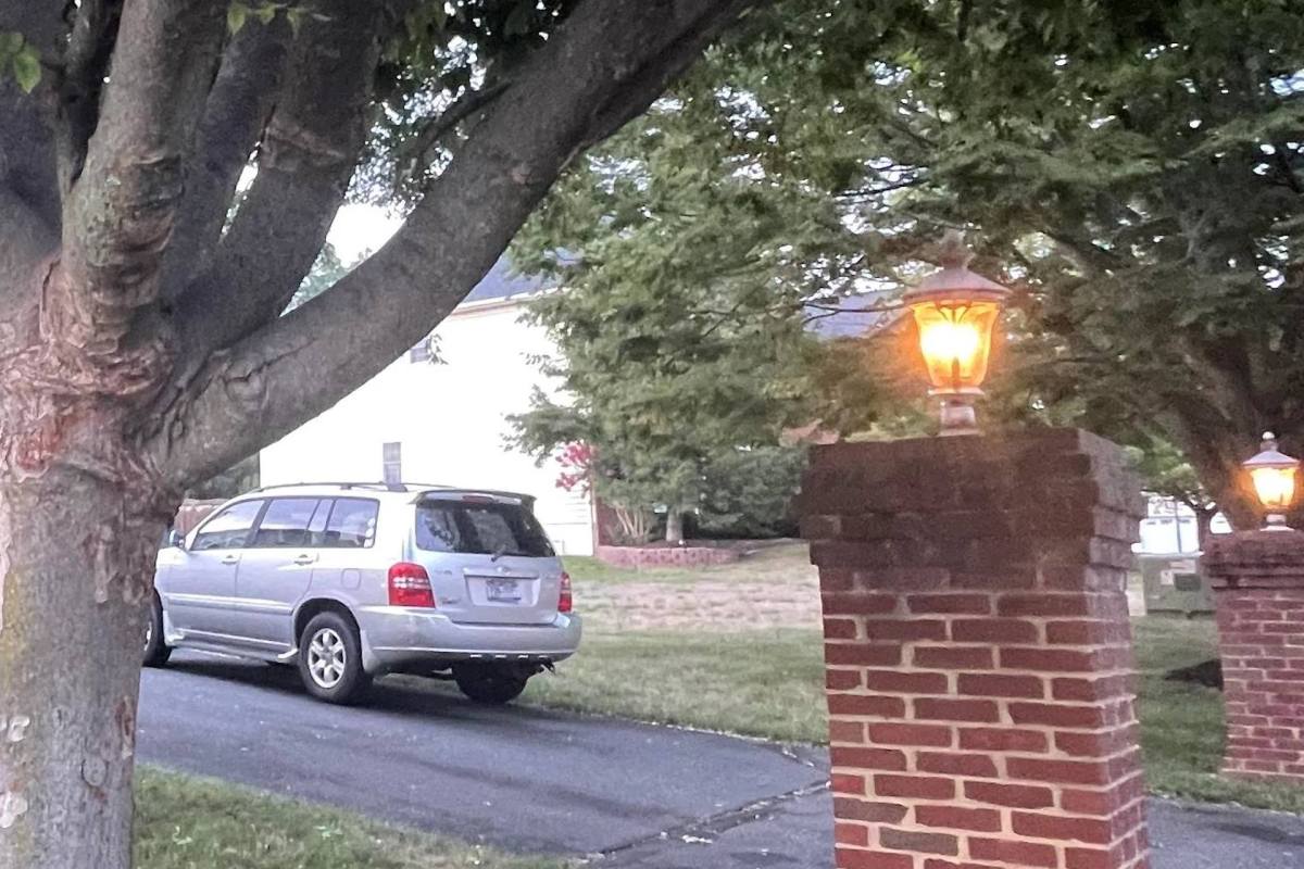 The tree in question can be seen split almost in two.