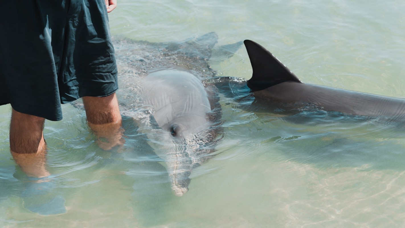 Accessible innovations like these can help protect not only our health, but the health of our marine friends.