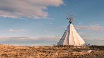 "Their presence is integral to thousands of natural relationships."