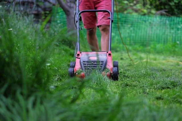 The homeowner provides a demonstration of how easily their Skil Power Core 40 lawn mower cuts through long grass.