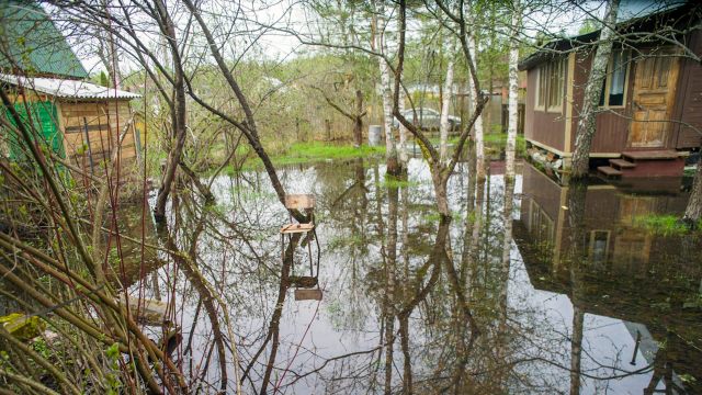 "Water filled up halfway up my back yard, creating my own lake."