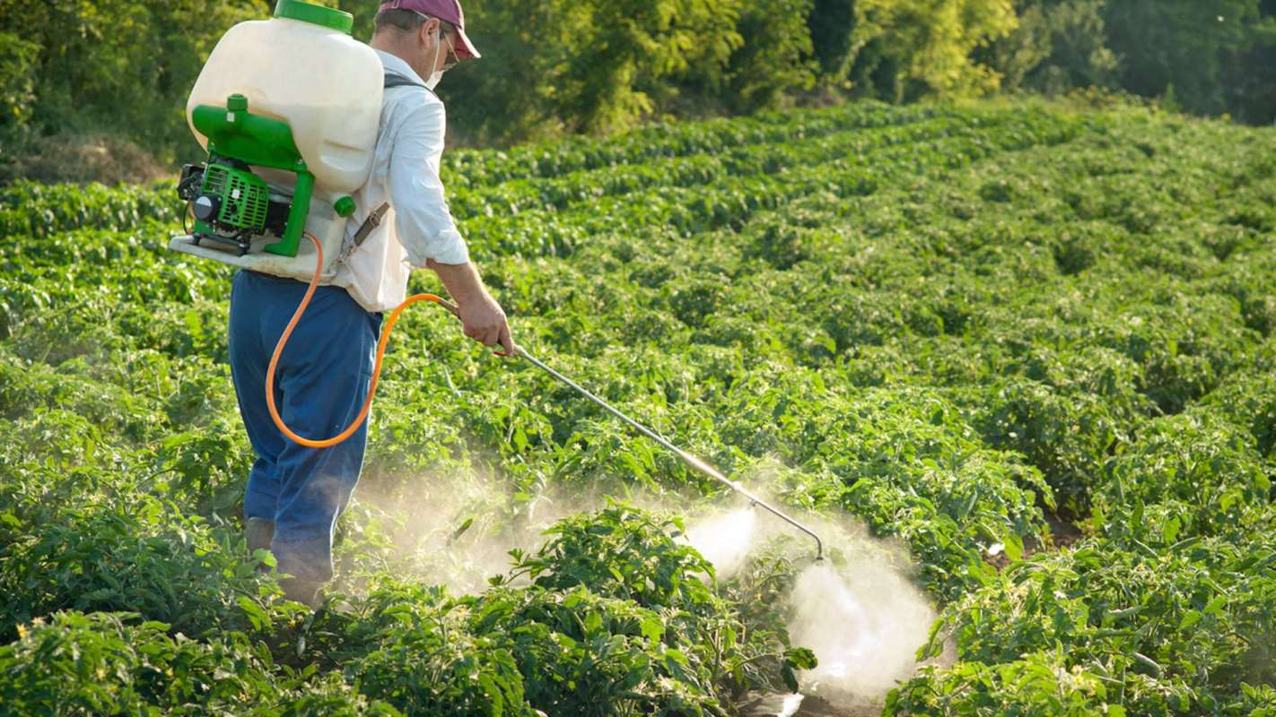 The findings show that more extensive research on how pesticides impact the development and severity of various cancers is needed.