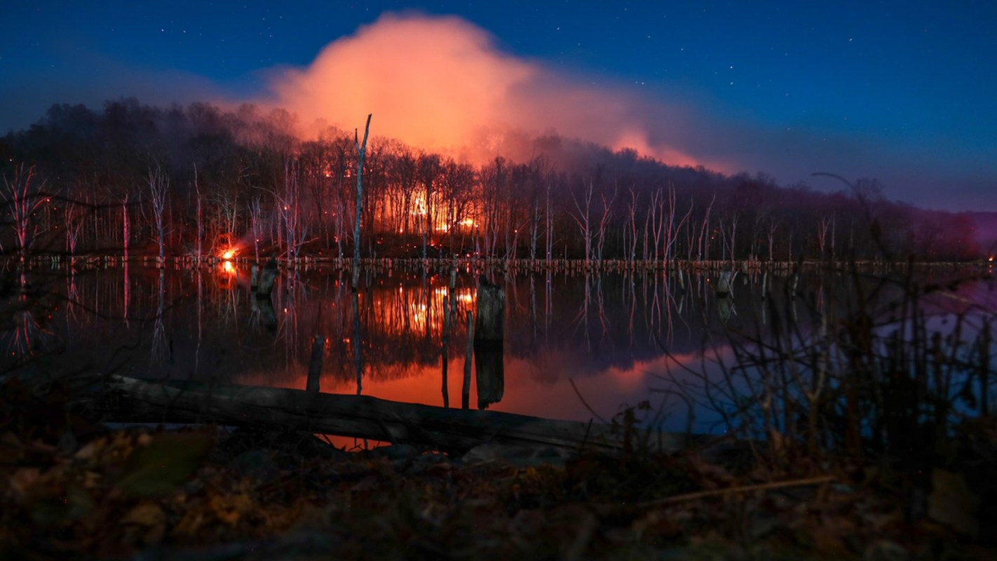 On top of damaging homes and natural landscapes, wildfires release harmful pollutants into the atmosphere as they burn.