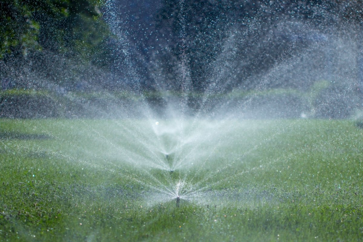 One peek at this family's water bill was enough for this neighbor to join the movement.