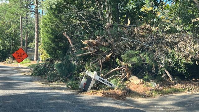 Helene’s winds brought down trees, damaging numerous homes.