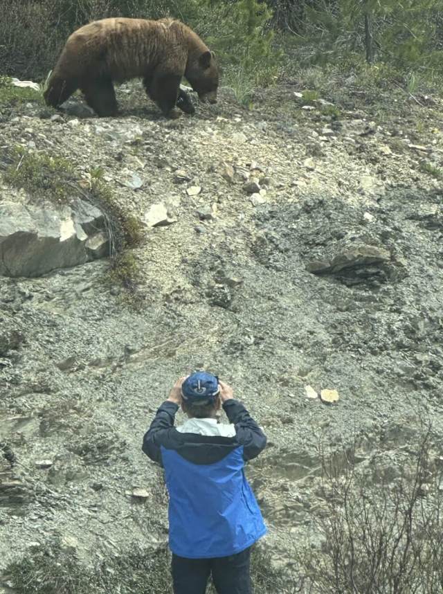 "In any case, no one should get out of their vehicles while photographing any wildlife."