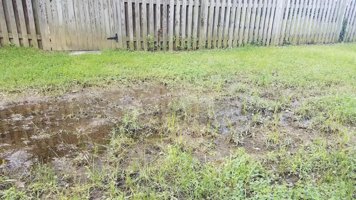 Most people would see a massive water pipe leak in their garden as a disaster, but one homeowner decided to use it as an opportunity to finally ditch their lawn.