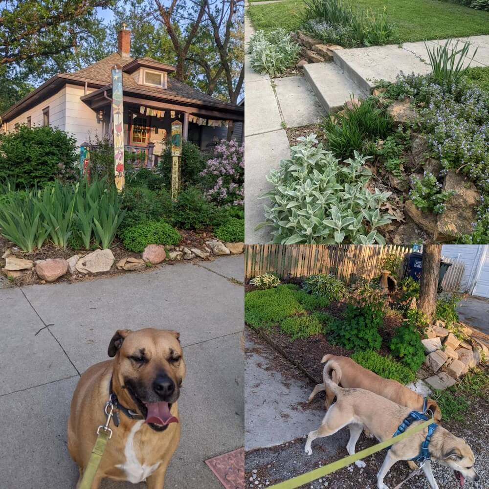 "I never see landscaping companies like I do in the suburbs."