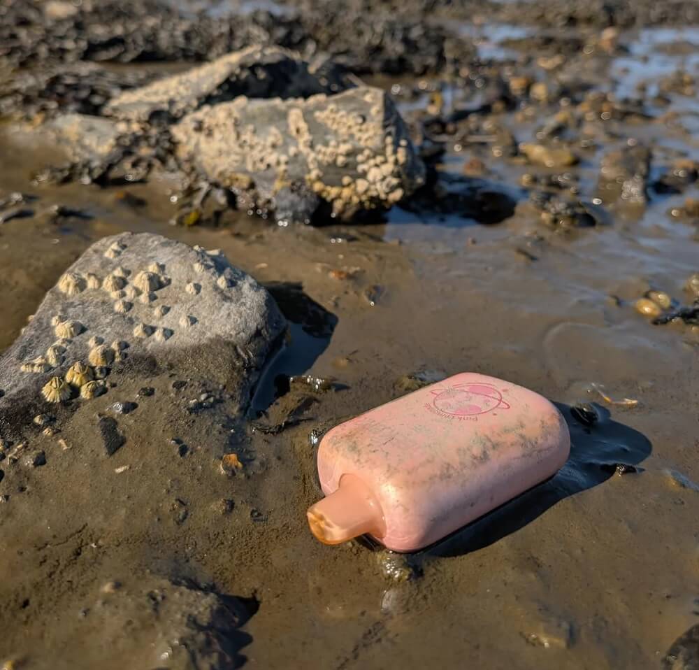 "We traded cigarette butts for these?"