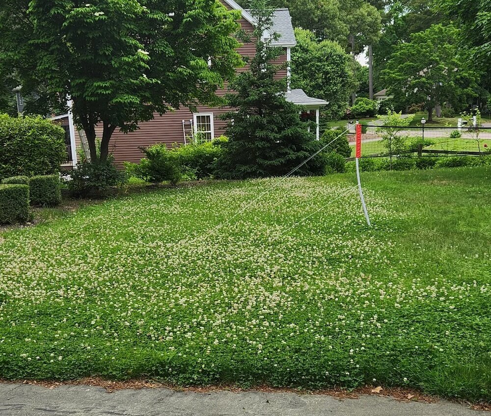 "The bees say thanks!"