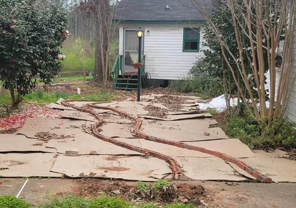 "This is what happens when your yard is taken over by invasive plants."