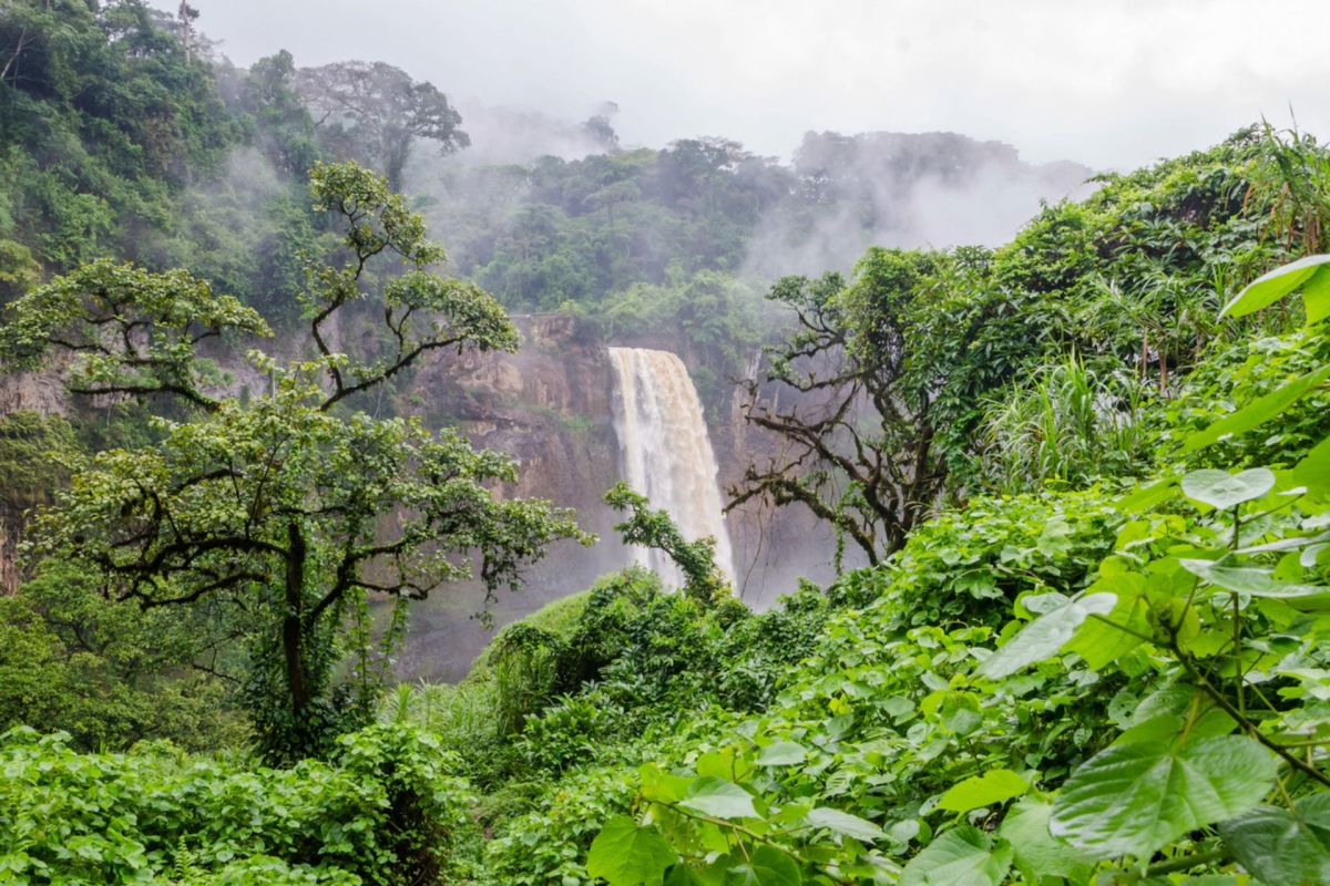 "Climate change is leading to more frequent and intense rainfall events."