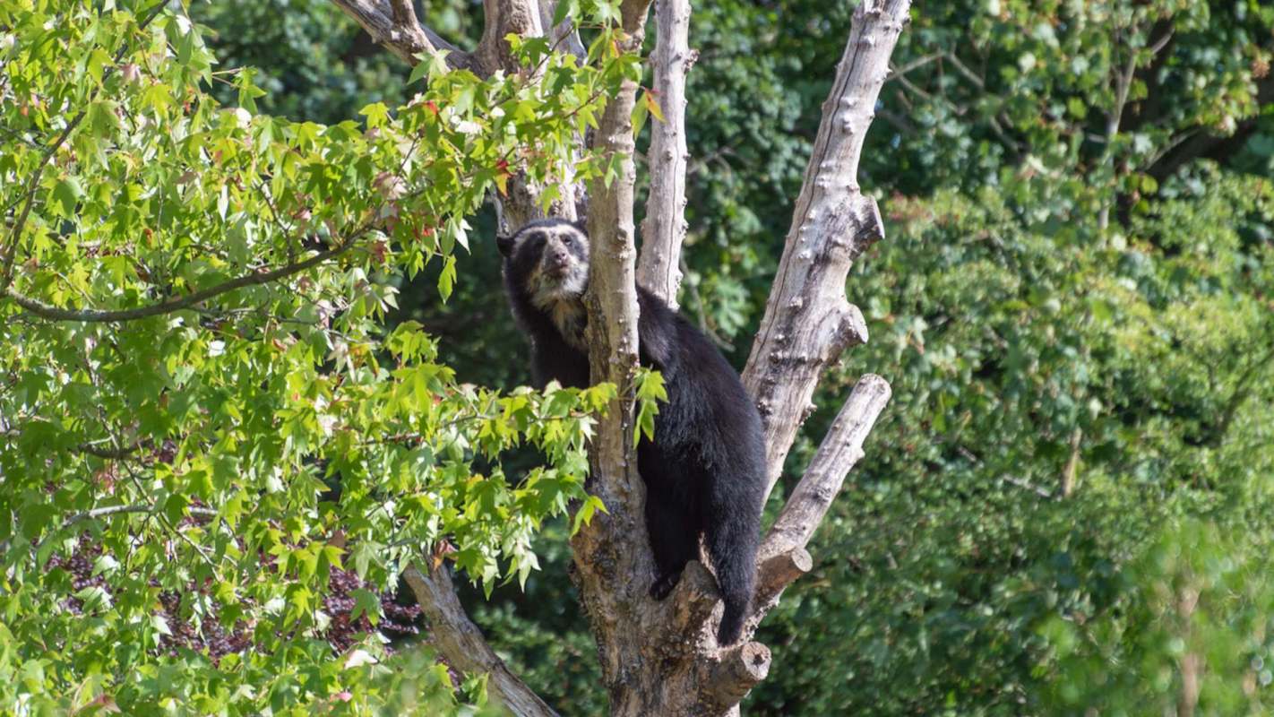 The scientists behind the study hope that it leads to increased conservation efforts — particularly among the local community.