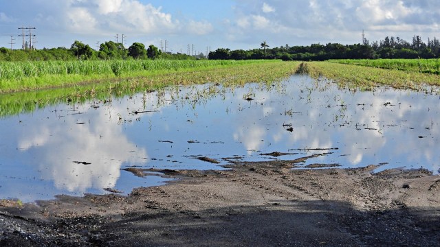 Milton was a tricky storm to analyze because it hit so soon after Hurricane Helene.