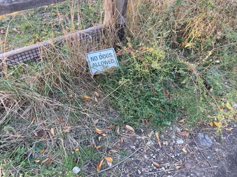 A 'No Dogs Allowed' sign sits in the grass at Horner Park