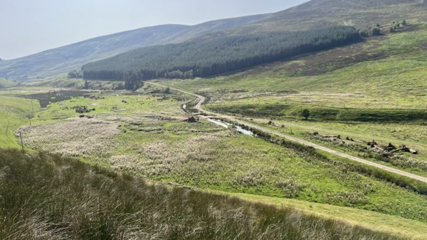 "It is a unique opportunity to employ a nature-based approach to fully reinstate a 'wandering' channel network."