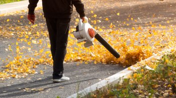 "Used it to blow leaves, blow off the patio, clean things out."