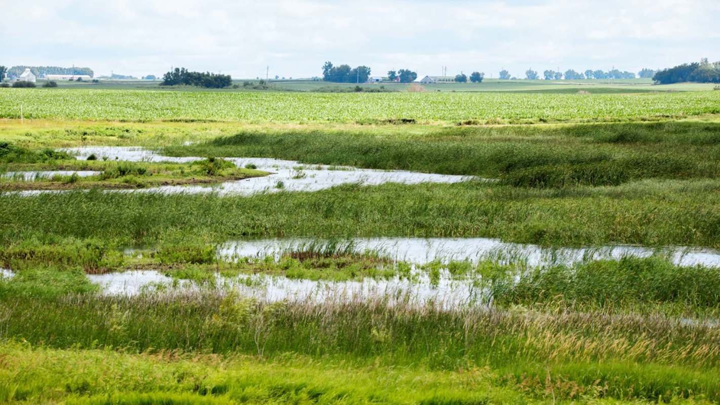 "Wetlands protected by Swampbuster are critical for protecting our communities."