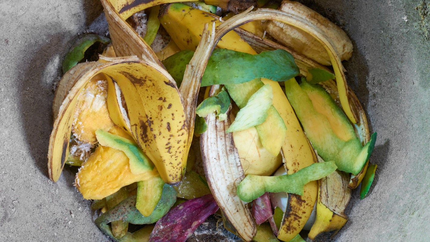 "First, the waste is collected, cleaned and sorted, then shredding and pulping are done."