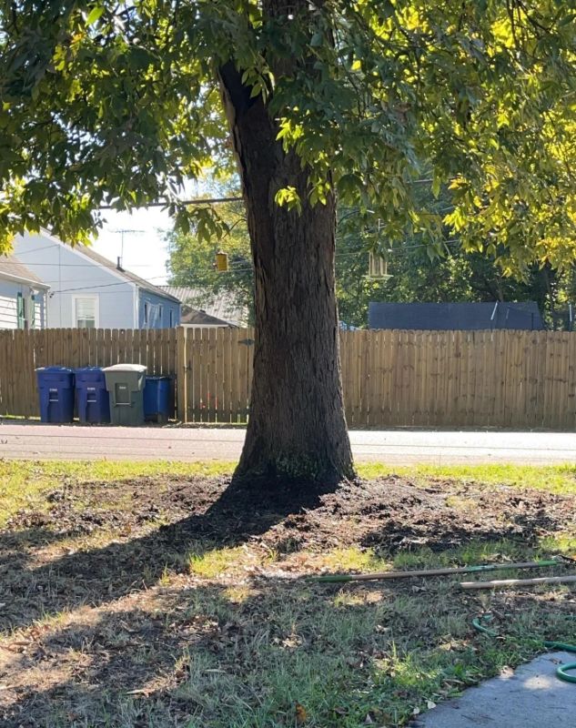 "Once it settles, I should be able to flatten it more and improve the mulch around it."