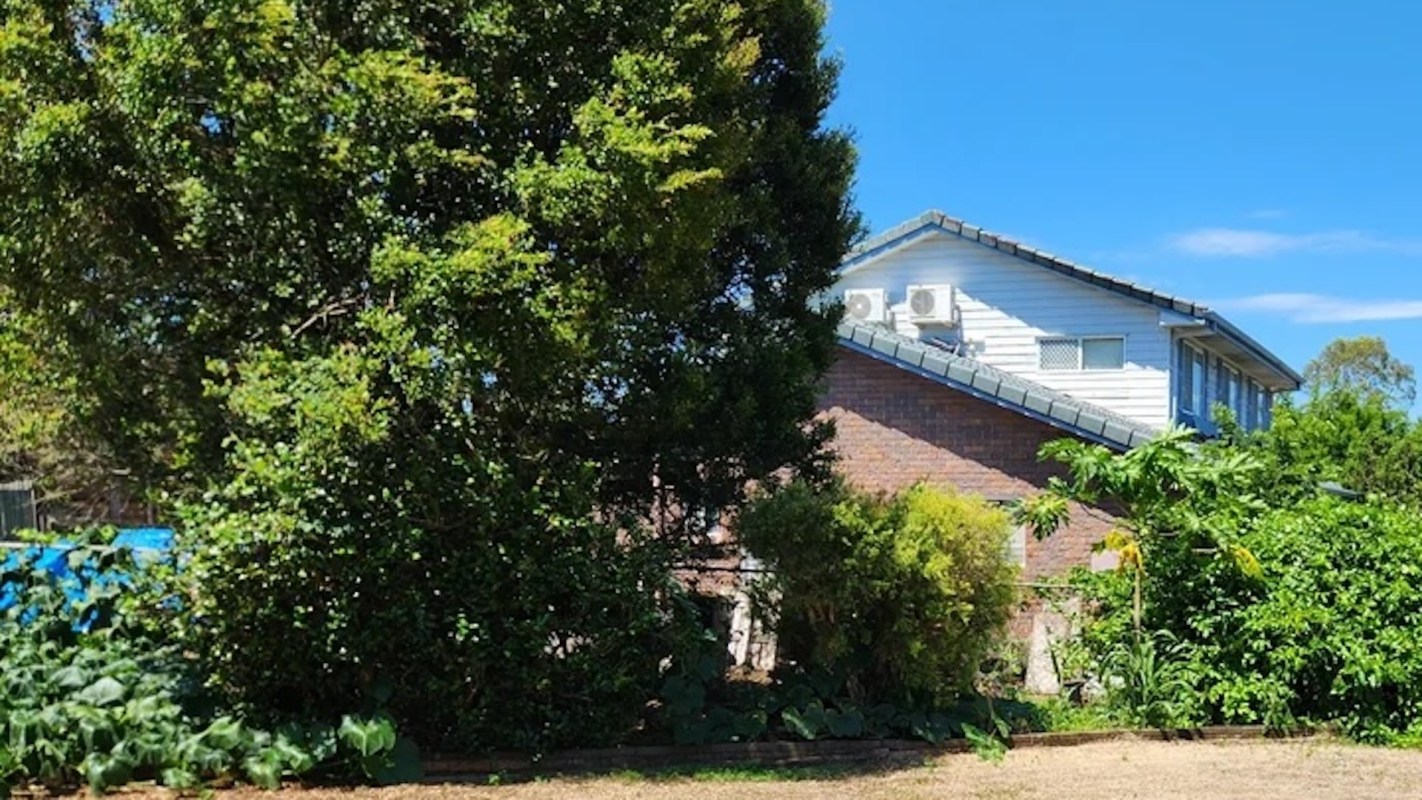 "Apparently the weed killer was too concentrated because the lawn is basically dead."