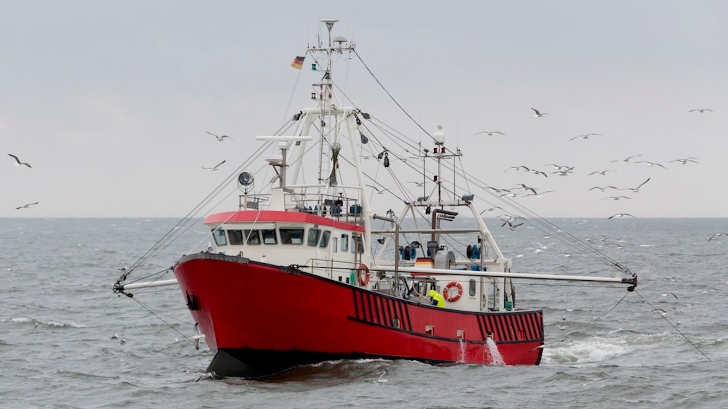 The California Department of Fish and Wildlife surveilled the fisherman after he was seen unloading burlap sacks off a boat and into a vehicle.