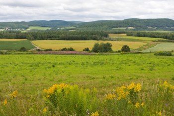 The parcel of land includes nearly 12,500 feet of shoreline around Rockabema Lake.