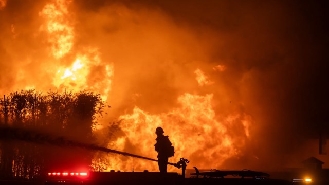 "Entire neighborhoods … have been wiped out."