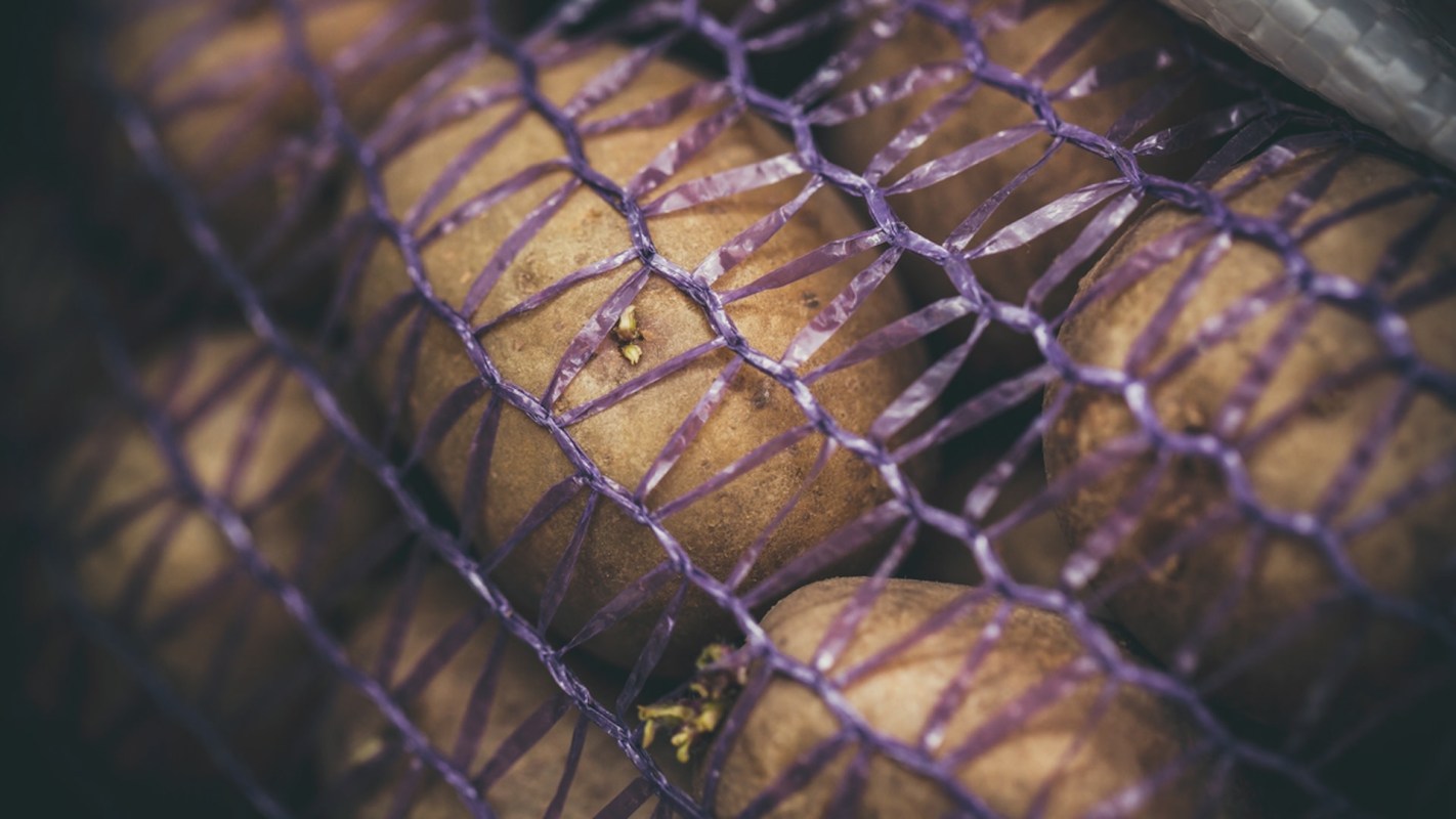 Some grocery chains have started testing plastic-free produce sections and reusable packaging systems.