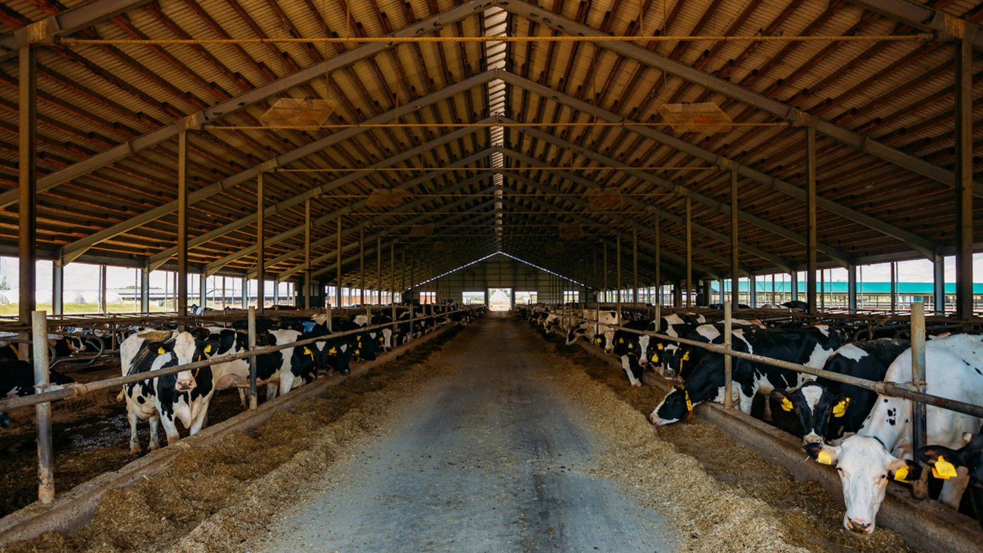 The group reported that the Iowa Department of Natural Resources logged almost 200 incidents of farms illegally discharging water fouled with manure.