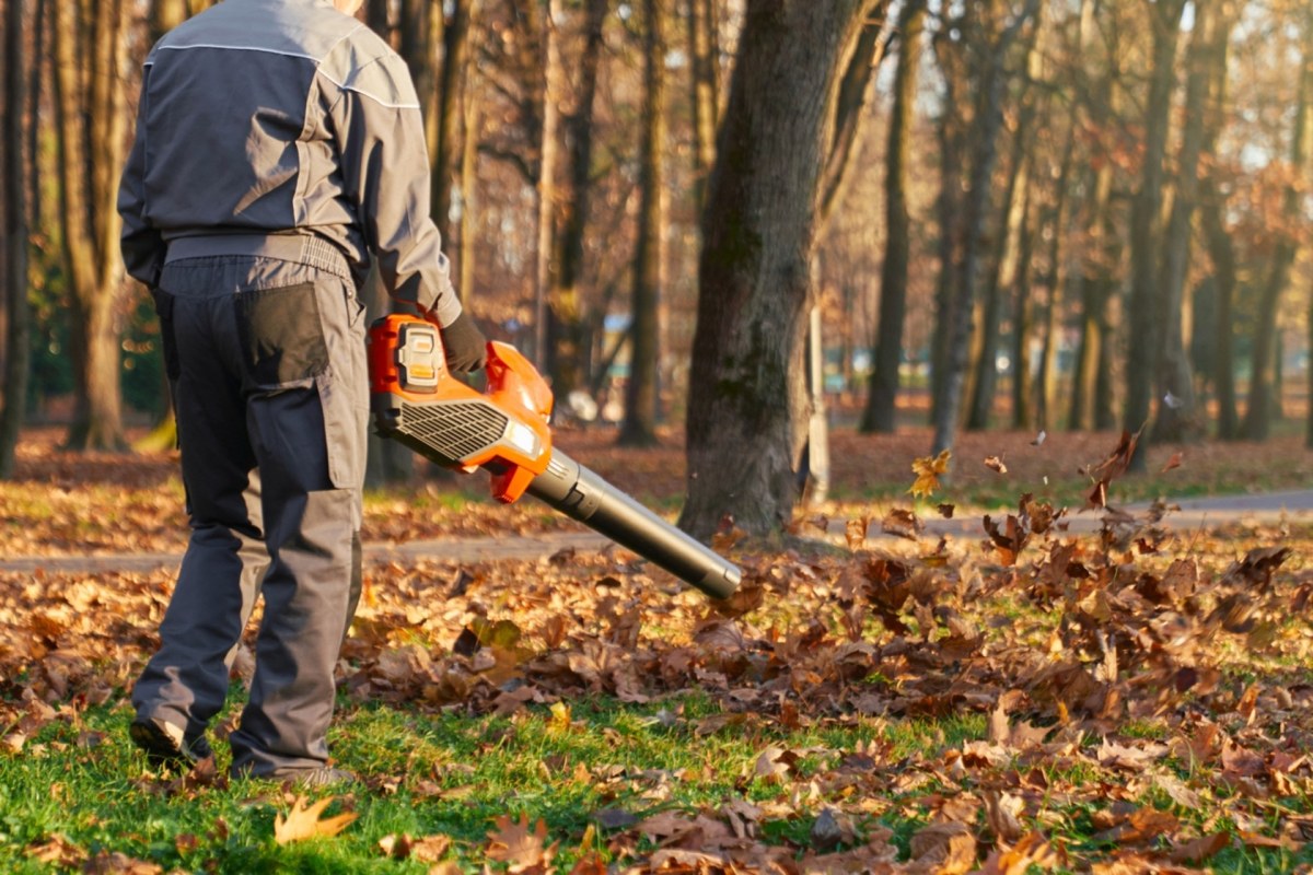 "They would rather have 5 acres of dead lawn spanning into nothingness."