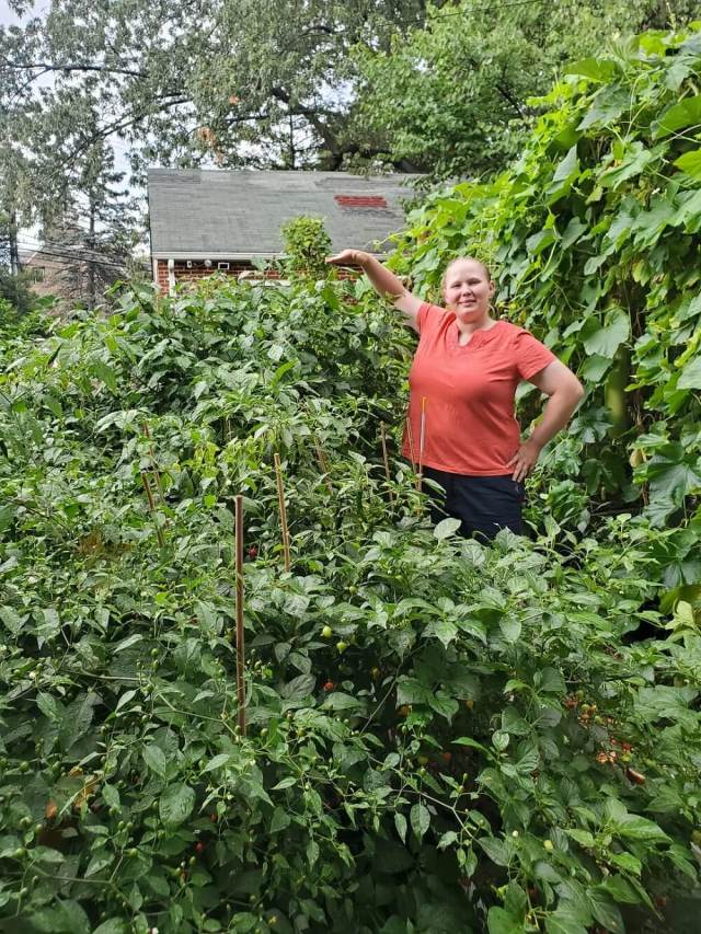 Growing your own food can be an excellent investment.