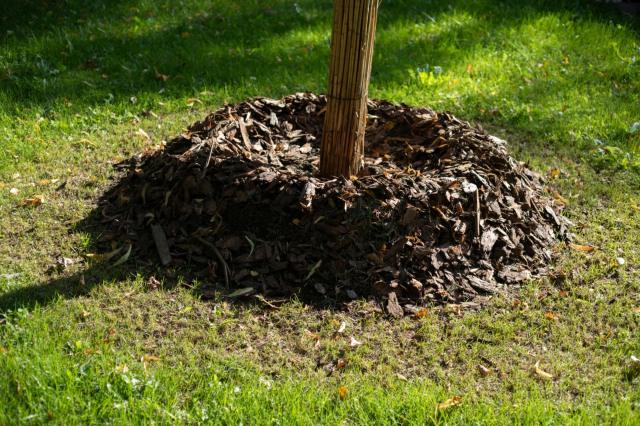 This homeowner revealed that removing the mistake was not as simple as digging up the mulch.