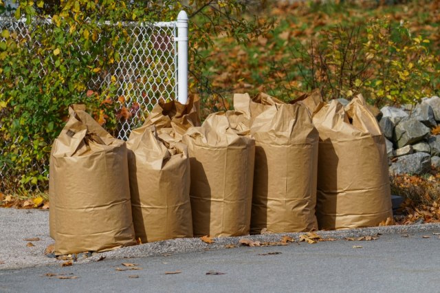 "I've been the weirdo in our neighborhood who collects 'trash' ... for years now."