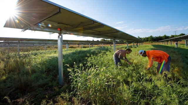 "We plan to continue research at the site and to see how [it] persists over time."