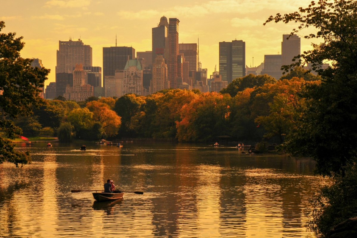 "Urban environments aren’t very friendly to a lot of native species."