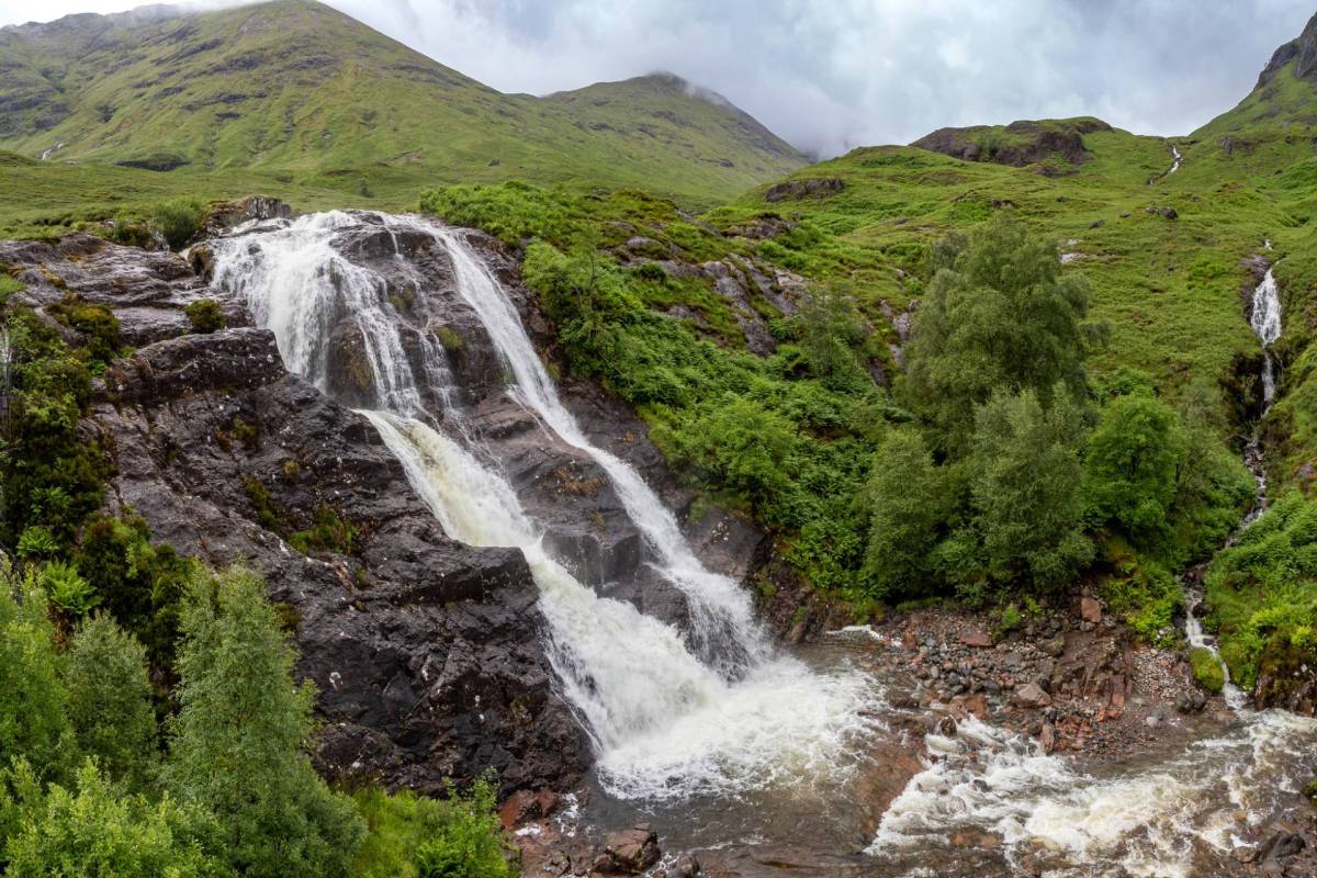 "Wildlife could be disappearing in the dark while ecosystems break down."