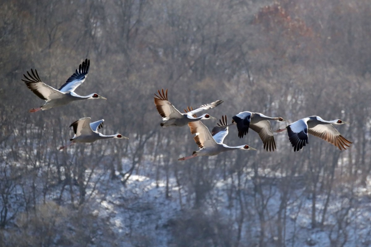 Biodiversity is critical to maintaining a healthy ecosystem.