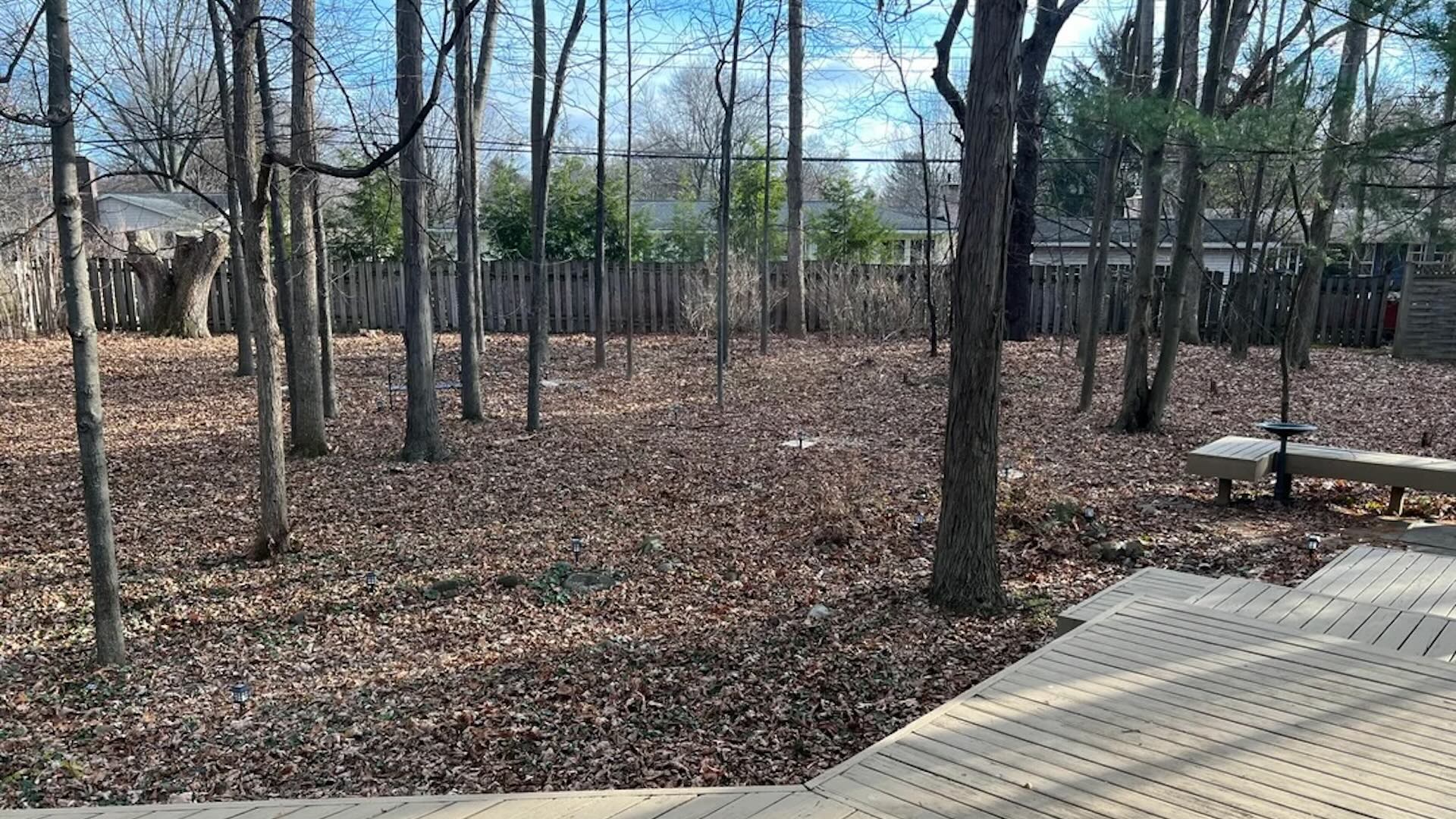 Homeowner shares before-and-after photos of life-changing backyard renovation: ‘The transformation is stunning’